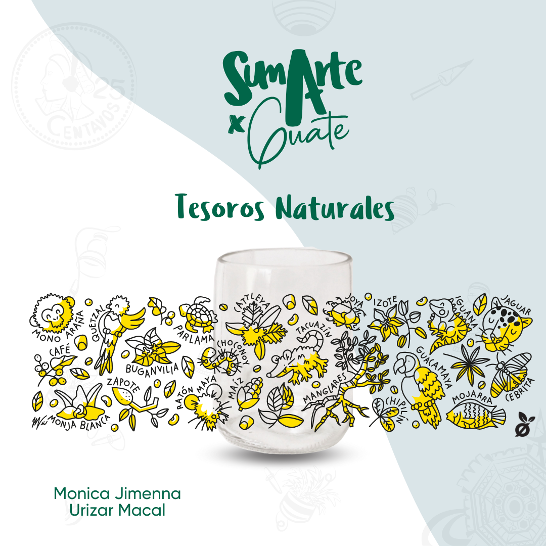 4 Pack Sumarte x Guate