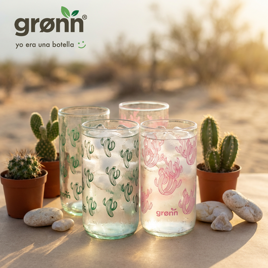 4 pack Colección Cactus